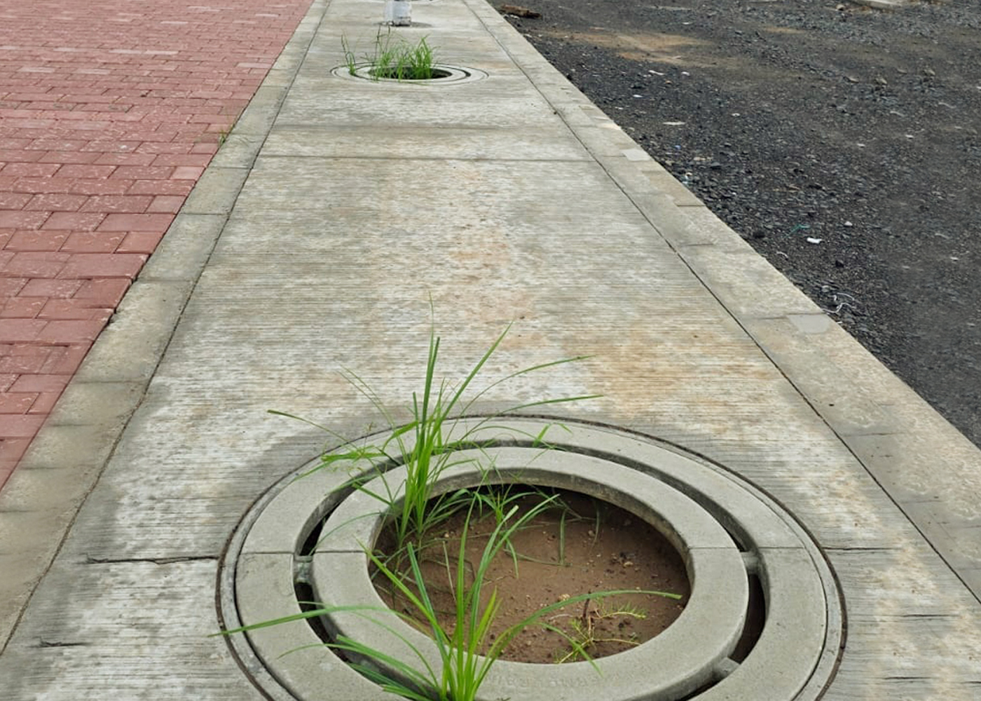 tree-grating